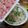 ポニーリボン's cooksnap of when they made 柚子胡椒de絶品！長ネギのしゃぶしゃぶ鍋.