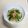 なめこおろし's cooksnap of when they made 水菜のおいしいスープ.
