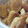 megu143's cooksnap of when they made 意外と簡単！圧力鍋で豚の角煮.