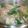 ちゃらんち's cooksnap of when they made 簡単！煮るだけのとろとろ八宝菜.