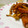 Ｋazu's cooksnap of when they made ウインナーとエリンギの炒め物.
