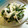 ゆかみお's cooksnap of when they made えのきとほうれん草のごまマヨ和え.