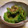 さるちゃんばなな's cooksnap of when they made ゴーヤのおひたし.