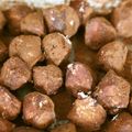 ゆあんど's cooksnap of when they made 生チョコ風とろけるクリームチーズトリュフ.
