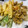 ♬のんのこ日和♬'s cooksnap of when they made 衣サクサクたけのこの天ぷら.
