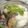 カピラヲン's cooksnap of when they made あさり鍋.