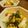 さとう（あ）'s cooksnap of when they made ★にらのツナあえ★.