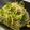 えいとさん's cooksnap of when they made しらすとねぎのパスタ.