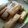 yasuna313's cooksnap of when they made 牡蠣の春巻き♪.