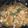 nanamamaUS's cooksnap of when they made えび・ホタテ・イカの旨味たっぷり麻婆豆腐.