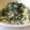 govege's cooksnap of when they made せり摘みの後はせりご飯.