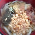づっころじー's cooksnap of when they made 冷凍うどんで本場の味・関西風かけうどん.