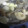 shore_real's cooksnap of when they made とろとろとろける☆牛すじおでん.