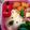 mana0914's cooksnap of when they made 簡単！コアラのマーチ、キャラ弁。.