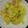 glacier's cooksnap of when they made ハムとキャベツの卵とじ♪.