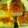 しろしろ1111's cooksnap of when they made サクサク!!とろ～!!はんぺんチーズ焼き.