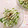 pitachan1's cooksnap of when they made 侮れない水菜と大根のサラダ.