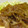 サンデーカズコ's cooksnap of when they made 定番♪ 豚肉の生姜焼き.