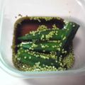 チュロッキー's cooksnap of when they made ★オクラのごま和え★.