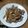 すーふぁみ's cooksnap of when they made 塩麹でふっくら☆鶏胸肉の生姜焼き.