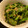 くくるぷぷ's cooksnap of when they made 菜の花★からし酢みそ和え.