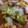 0kerokero0's cooksnap of when they made お母さんの味・白菜と豚肉の卵とじ.