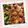Yunooon's cooksnap of when they made チーズ入りミートボールのトマトソース煮.