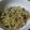 ヴィーナスけい's cooksnap of when they made 絶品！しめじと塩豚のやみつき醤油パスタ☆.