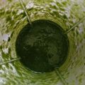 ゆうまいズ's cooksnap of when they made [覚え書]バジル🌿ジェノベーゼソース.
