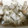 こじぴー's cooksnap of when they made 砂ずりの甘辛炒め煮.