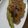 みなみとはく's cooksnap of when they made 夏☆野菜のひき肉あんかけ.