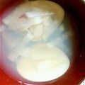 mmm59's cooksnap of when they made ひな祭り♪はまぐりの潮汁。(^^).
