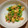 SEIKOREAN's cooksnap of when they made 簡単！油揚げとアサツキの炒め物.