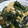 あやメロmamiy's cooksnap of when they made ✰味付きメンマとワカメの和え物✰.