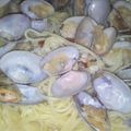はにゅ～ん's cooksnap of when they made あさりのパスタ：ボンゴレ・ビアンコ.