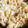 siro5296's cooksnap of when they made 鮭とごぼうの炊き込みご飯.