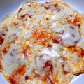 赤い本棚の上's cooksnap of when they made ぎょうざの皮で♪なんちゃってＰｉｚｚａ.