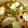 ひろみちゃん8021's cooksnap of when they made 蕪とれんこんのピリ辛五香粉そぼろ炒め♪.
