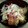 こけたん1981's cooksnap of when they made カツの卵とじ☆.