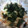 ろんびえん's cooksnap of when they made 長芋のかつお節と海苔の和え.