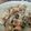 zukkini08's cooksnap of when they made 蓮根と鶏肉の甘辛炒め.