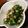 kimiｙ0104's cooksnap of when they made 家族大好き！春菊のピーナッツマヨ和え.
