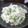 ☆りりん☆'s cooksnap of when they made ☆クリチーマッシュ＆ポパイオムレツ☆.