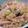 コリラックマ◎'s cooksnap of when they made 炊き込みおこわ.