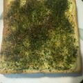 おいしぃ♪'s cooksnap of when they made マヨ海苔トースト.