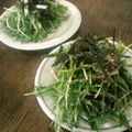 neronnko's cooksnap of when they made 【ちょいと一品】水菜のナムル.