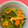 まやっちふる's cooksnap of when they made 豚肉と小松菜炒め（焼肉のたれ使用）.