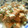 kayyo72's cooksnap of when they made たっぷりネギの厚揚げマヨネーズ和え♪.