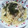 なっちゃん＊♪'s cooksnap of when they made ｷﾉｺとｱｻﾘの和風ﾊﾟｽﾀ♪.