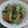 ☆☆☆かっちん☆☆☆'s cooksnap of when they made ツナ野菜炒め.